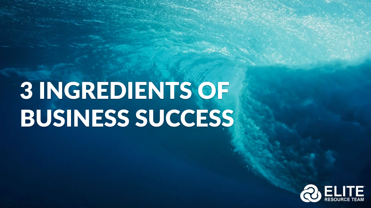3 Ingredients of Business Success